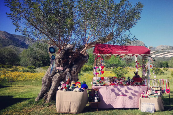 IMG_20170403_134437_338