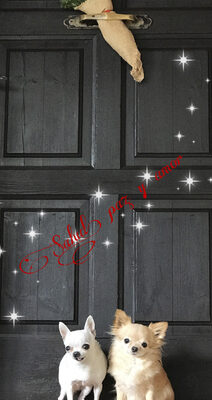 {"source_sid":"3A319E28-9C97-4568-9196-AB5071C6CFC9_1608210549351","subsource":"done_button","uid":"3A319E28-9C97-4568-9196-AB5071C6CFC9_1608210549319","source":"other","origin":"gallery"}